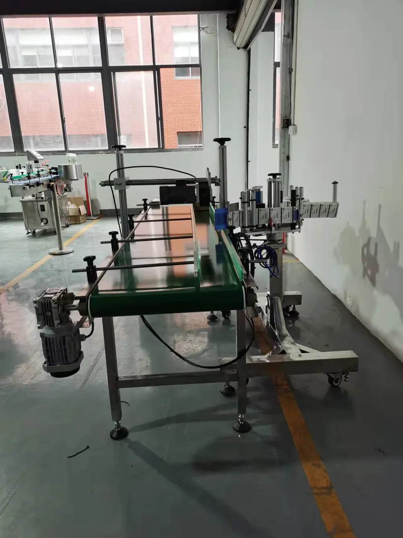 Company-owned photo of top hold carton labeling conveyor view-01, catalog view 116.